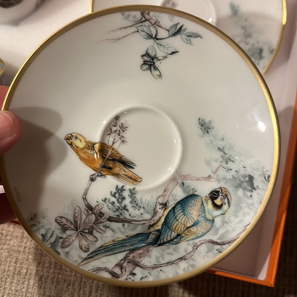 BNWT Hermes Porcelain Tea Cup and Saucer Set - Floral Design - Picture 10 of 14